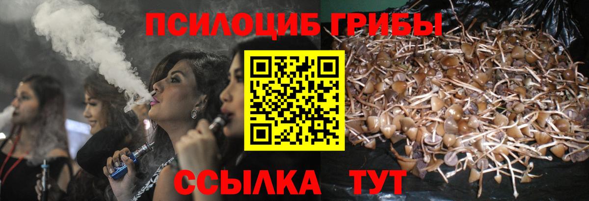 Псилоцибиновые грибы Cubensis  цена   Киров  Вход с VPN 